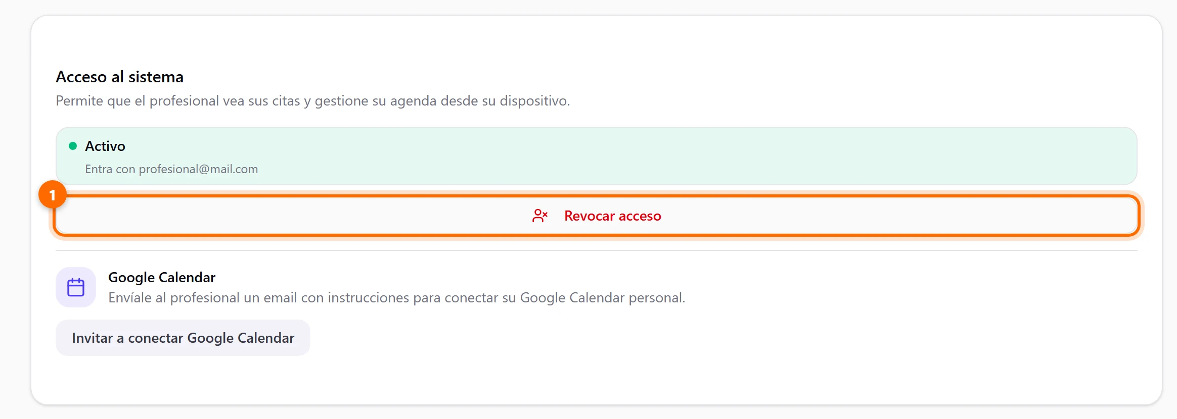 Tarjeta con el estado Activo, el correo con el que entra el profesional y el botón Revocar acceso