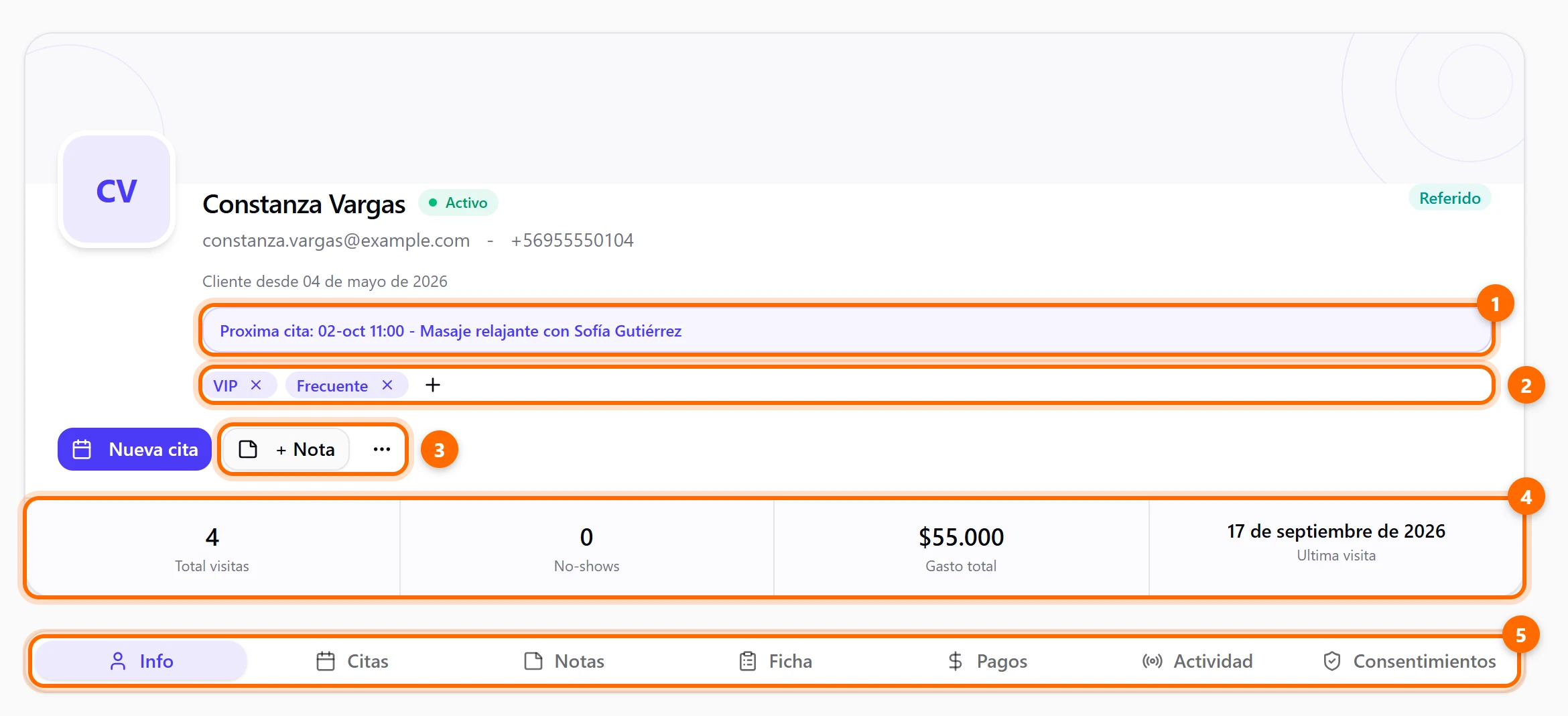 Cabecera de la ficha de un cliente con sus datos, estadísticas y pestañas