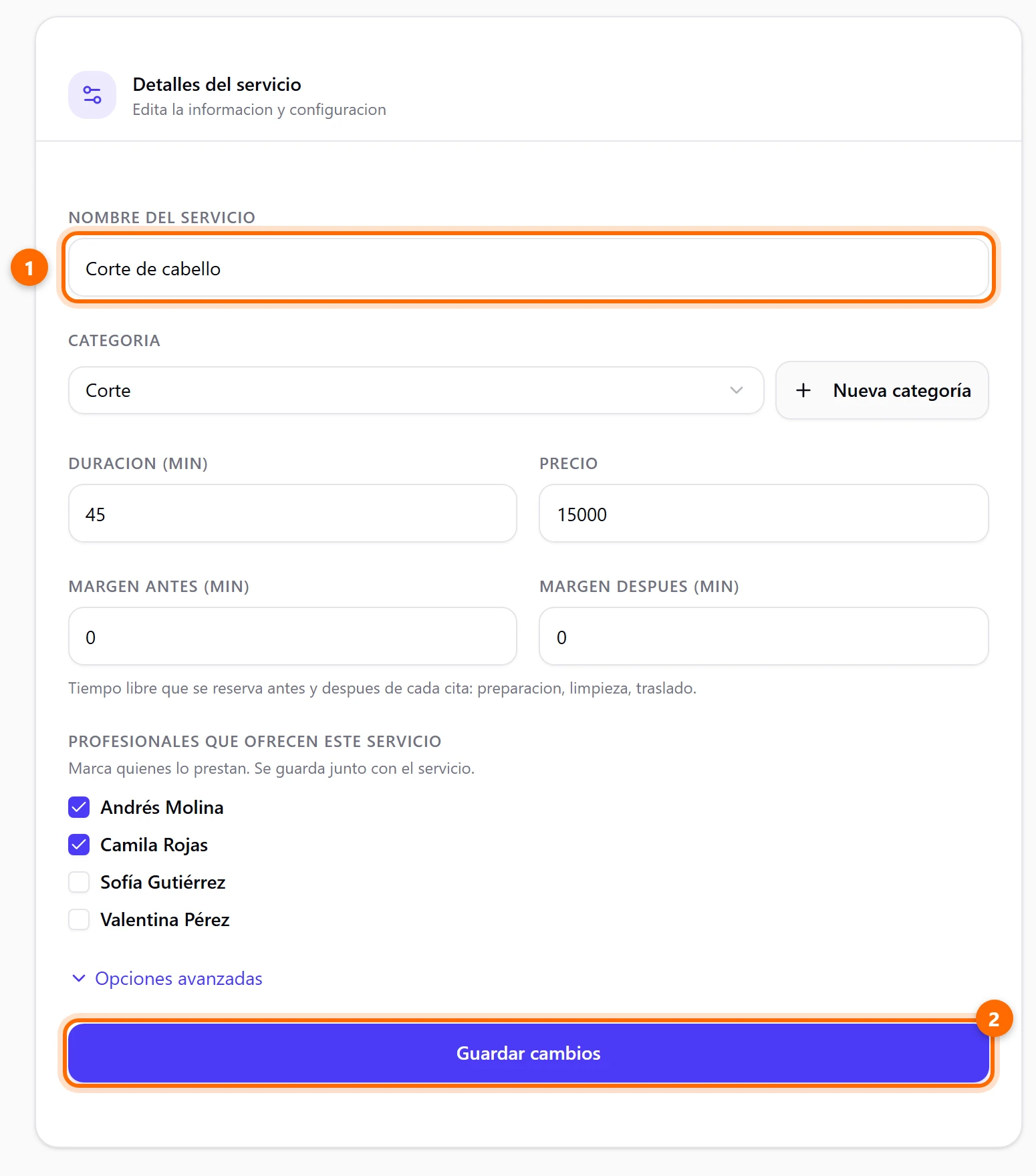 Ficha de un servicio con los campos editables y el botón Guardar cambios