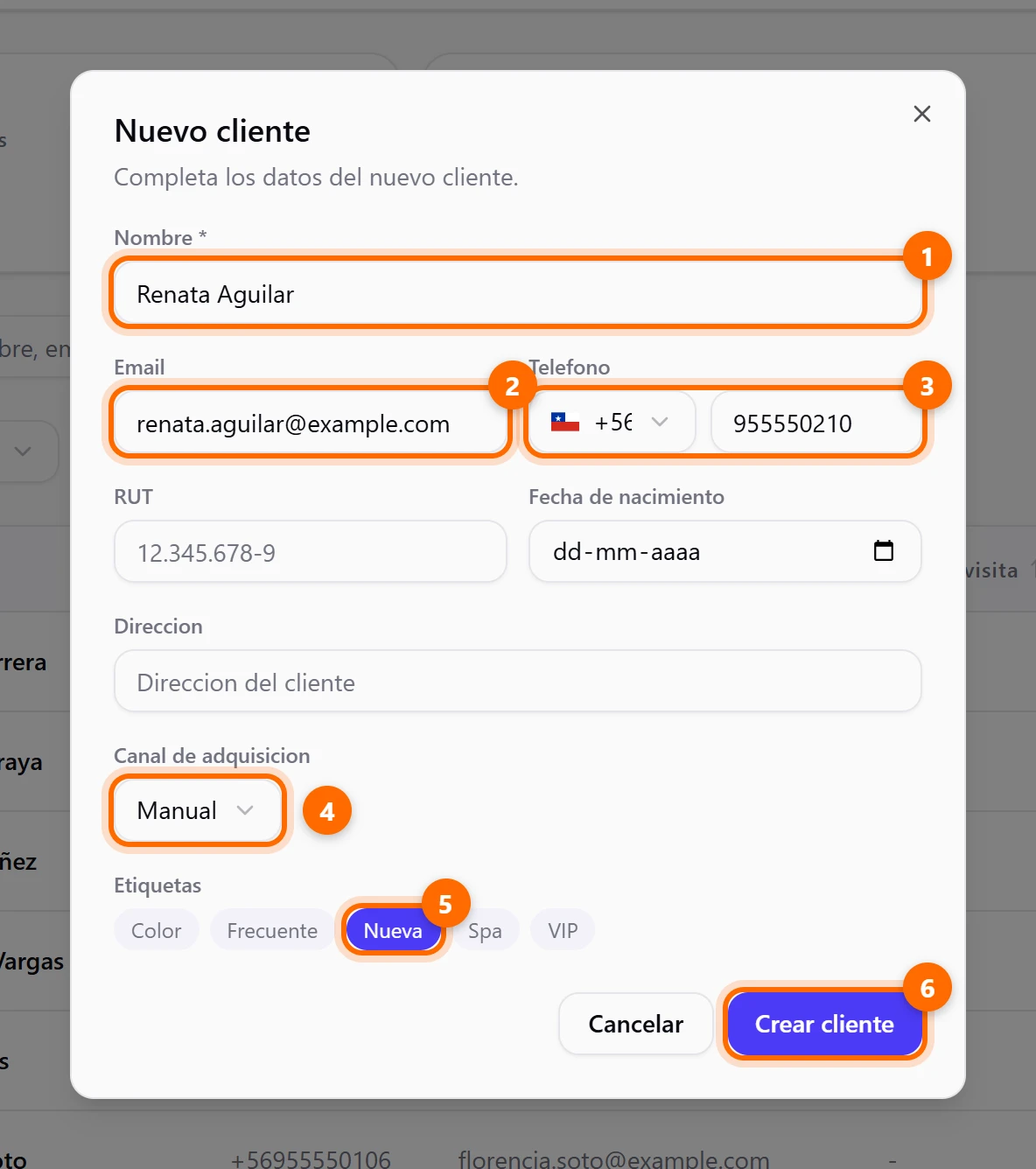 Formulario Nuevo cliente con los datos de ejemplo completos