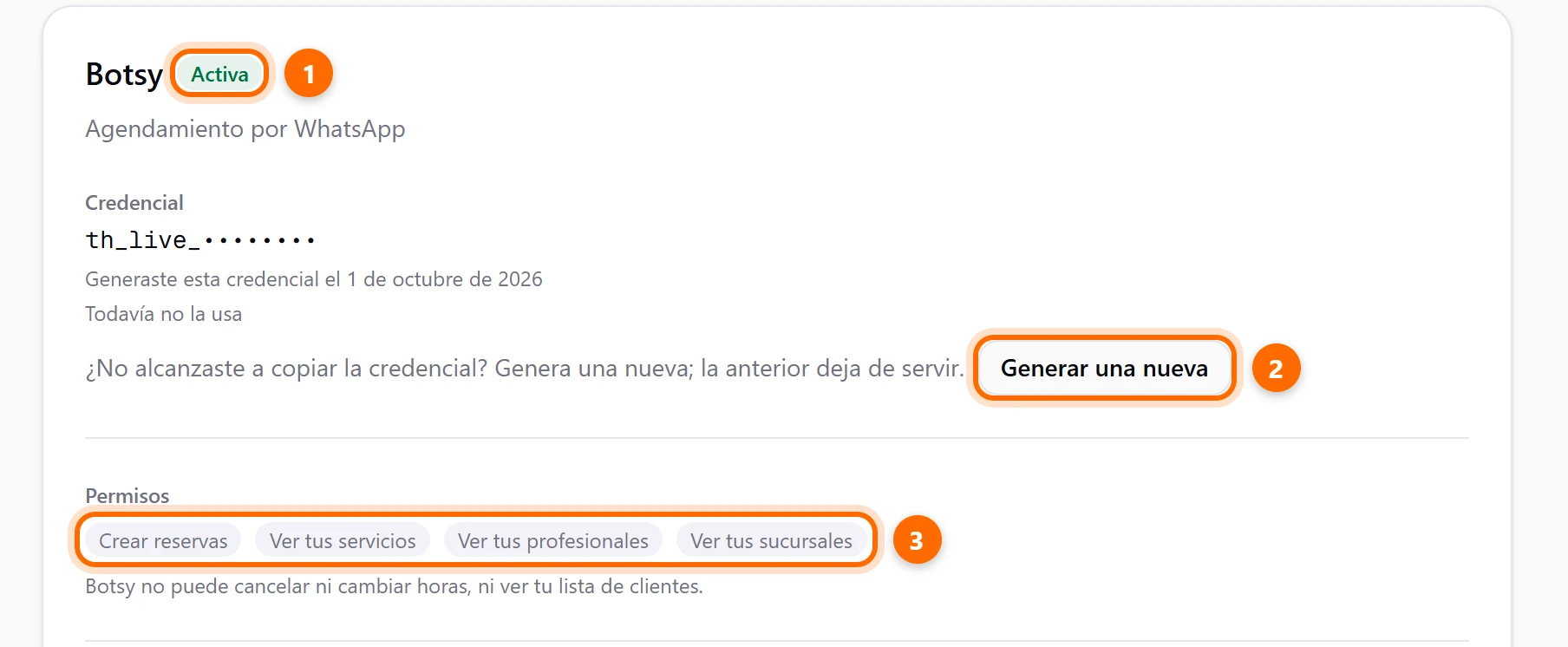 Tarjeta Botsy con el estado Activa, la credencial enmascarada, la fecha, el botón Generar una nueva y la lista de permisos