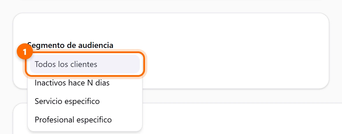 Lista desplegable Segmento de audiencia con las cuatro opciones