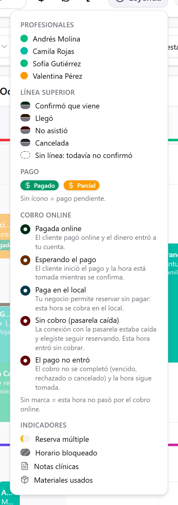 Ventana Leyenda con profesionales, línea superior, pago y cobro online