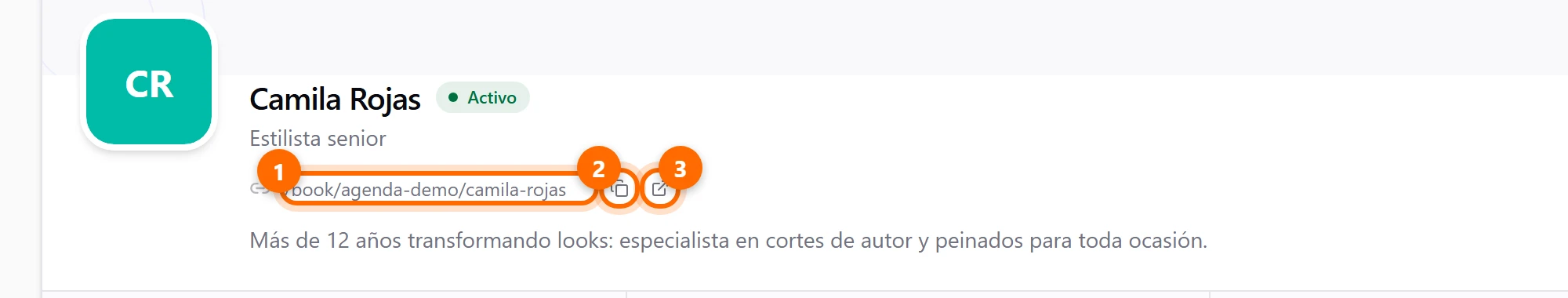 Cabecera de la ficha con el enlace de reservas del profesional y los íconos para copiarlo y abrirlo