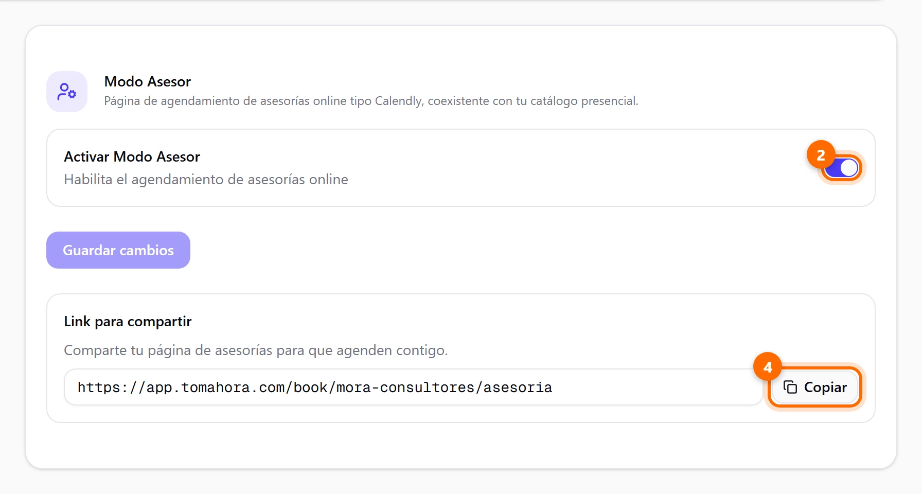 Modo Asesor activado, con el campo Link para compartir y el botón Copiar