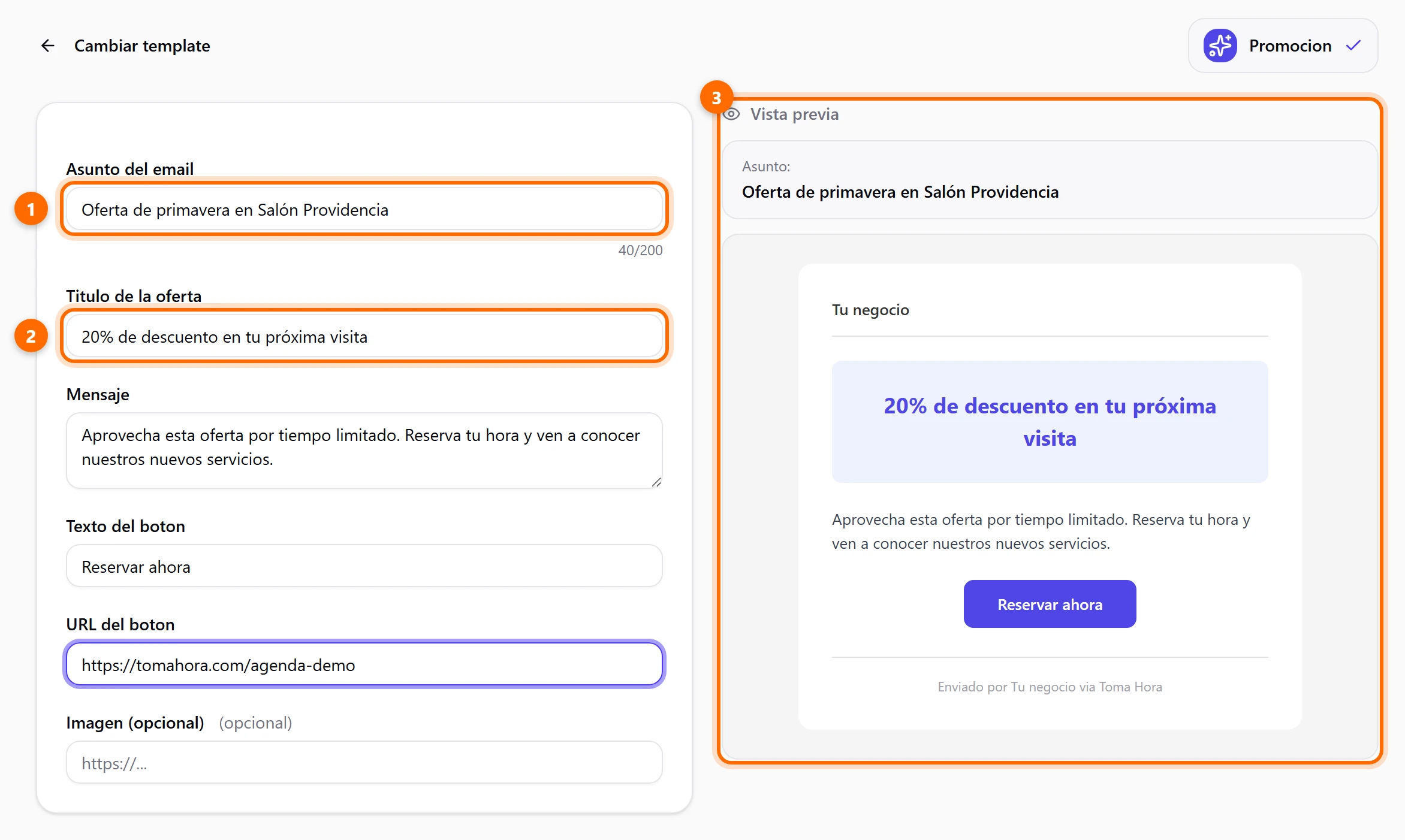 Formulario de la campaña con el asunto, los campos del template y la vista previa del correo